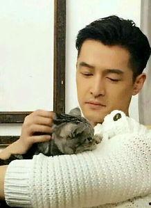 娱乐圈优点,魅力无限,星光璀璨的娱乐盛宴