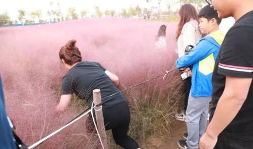 网红随便找个人野战,激情野战事件引发热议
